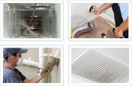 friendly and reliable service